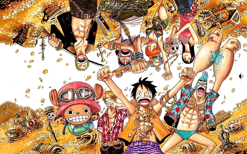 One Piece Laptop Group, ps4 cover anime one piece HD wallpaper