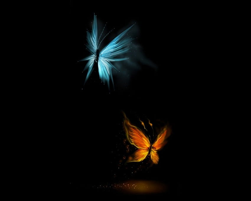 der Schmetterlingseffekt HD-Hintergrundbild