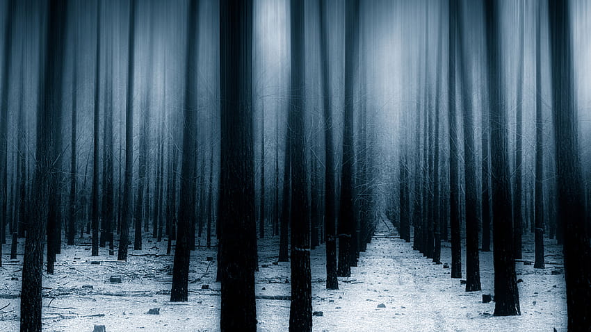1920x1080 Dark Forest Woods Snow Winter Laptop Full , Backgrounds, and, winter forest laptop HD wallpaper