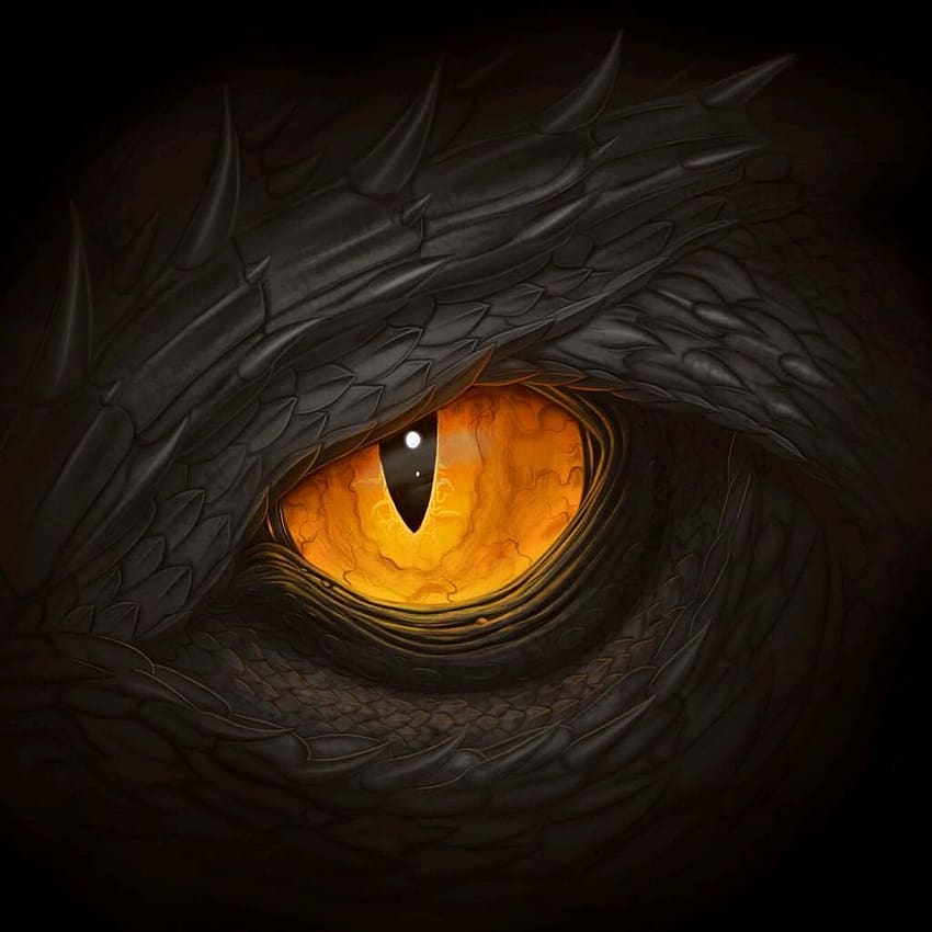 dragon eye HD phone wallpaper