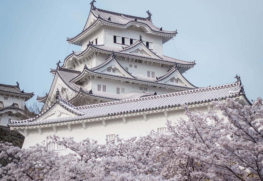 2088x1440 Himeji Castle, Japanese Architecture, White Building, Cherry Blossom, Sakura HD wallpaper