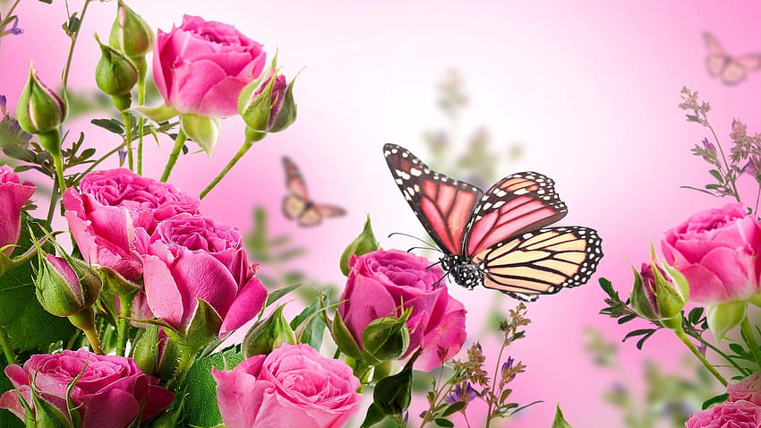 Purple Rose clipart real butterfly, pink butterfly HD wallpaper