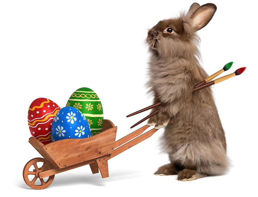Holiday, Easter, Bunny, Egg, Rabbit, Wheelbarrow, easter rabbit egg HD wallpaper