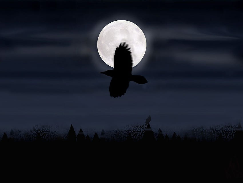 เมโลดิก เดธ เมทัล] Insomnium Song of the Blackest Bird [1152x864] for your , Mobile & Tablet วอลล์เปเปอร์ HD