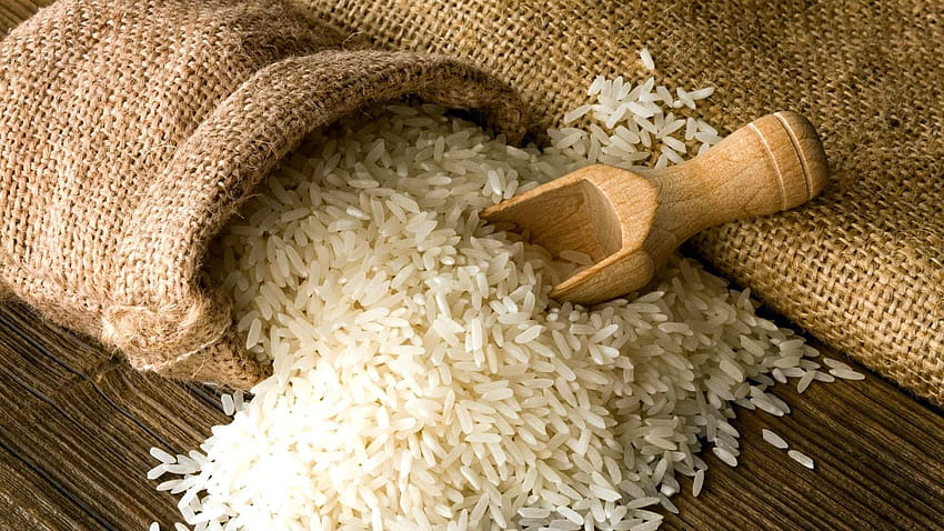 Rice Group, white rice HD wallpaper