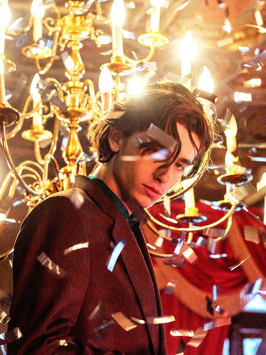 Timothée Chalamet Has Arrived Right on Time, timothee HD phone wallpaper