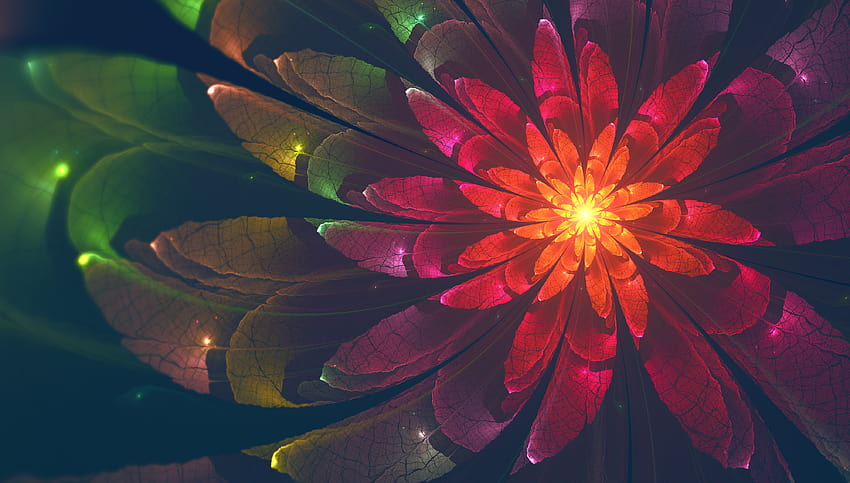 Abstract Flower, lotus flower ultra HD wallpaper