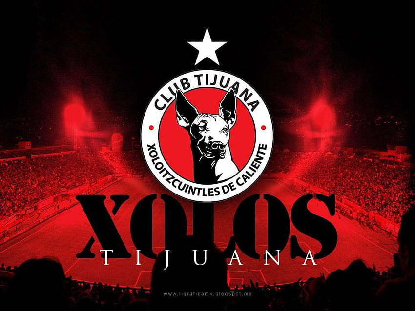 Xolos • Tijuana, club tijuana HD wallpaper | Pxfuel