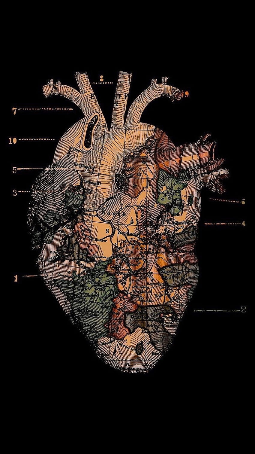 about heart in by Nat España, medical heart HD phone wallpaper