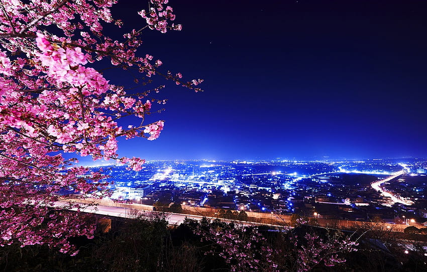 noc, światła, budynek, Cherry Blossoms , sekcja город, koreańskie kwiaty wiśni Tapeta HD