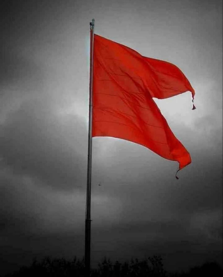 hinduism_and_science - The Bhagwa Dhwaja (Saffron Flag) is the symbol of  Sanatana Dharma or Hindu culture from times immemorial. The word 'Bhagwa'  connotes that it comes from 'Bhagavan' meaning God. It stands