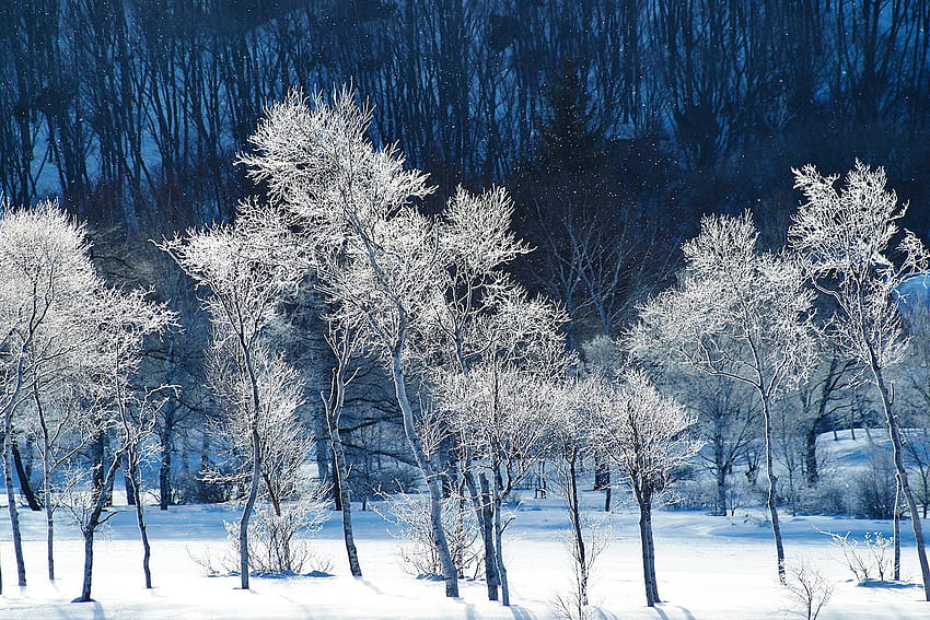 hiver, Neige, Montagne, Snow, Nature, Landscapes, Frozen, Winter, / and Mobile Backgrounds, frozen winter HD wallpaper
