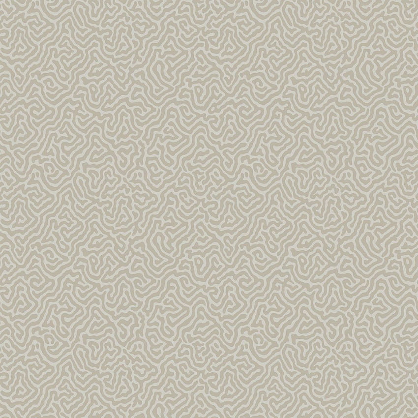 Neutral on Dog, neutral colors HD phone wallpaper