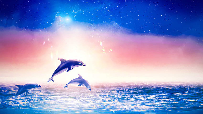 Bottlenose dolphin HD wallpaper | Pxfuel