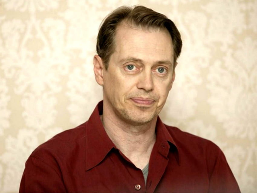 Steve Buscemi 12 HD wallpaper Pxfuel