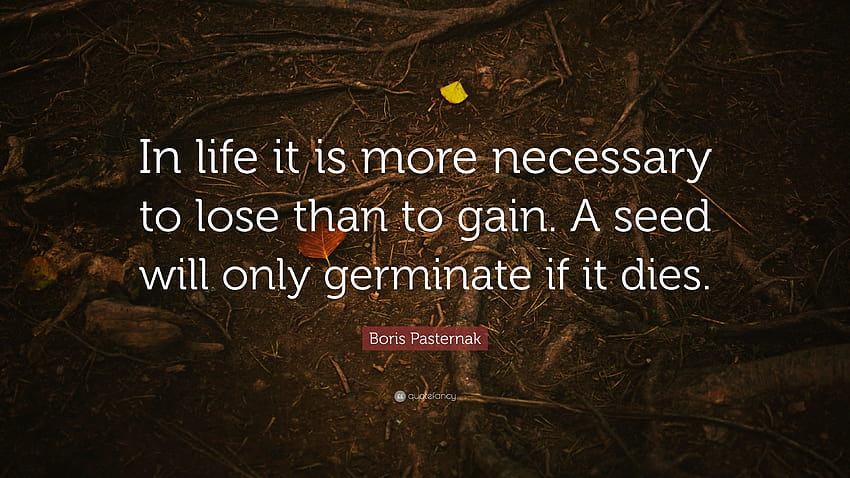 Boris Pasternak Quote: “In life it is more necessary to lose than to gain. A seed will only germinate if it dies.” HD wallpaper