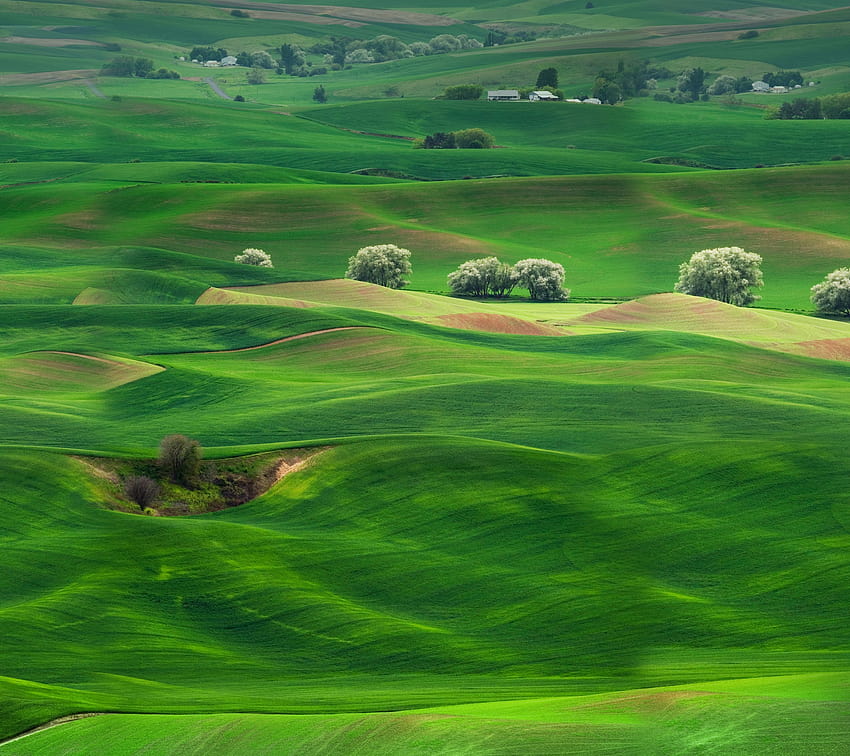 Grünland, Landschaft, Grün, Landschaft, Huawei Mate 10, Grünland HD-Hintergrundbild