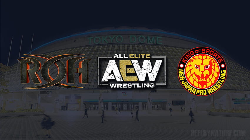 All Elite Wrestling, New Japan Pro Wrestling, and Ring Of Honor, aew double or nothing HD wallpaper