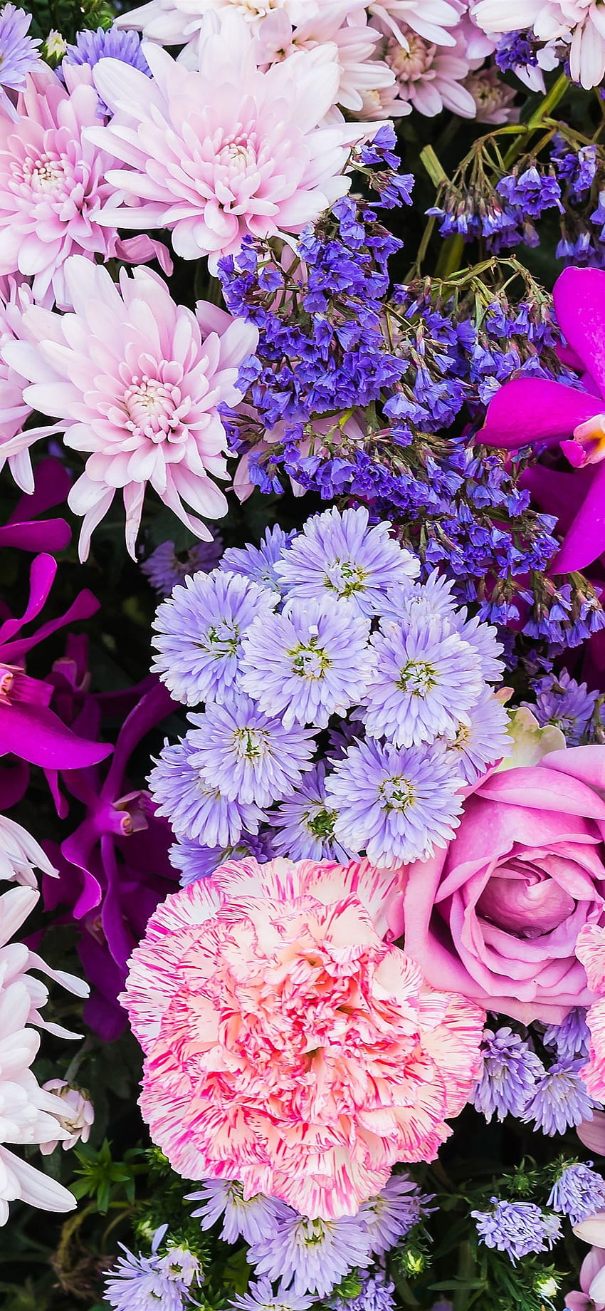 Kolorowe kwiaty, różne rodzaje, płatki 1242x2688 iPhone 11 Pro/XS Max , tło, iphone 11 pro max wiosna Tapeta na telefon HD