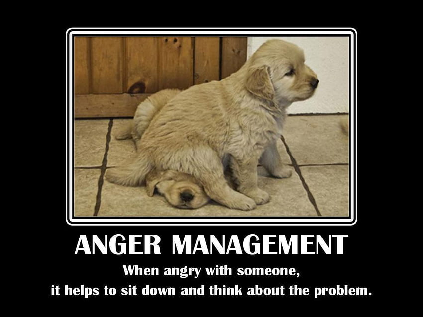 Funny and witty anger quotes, angry quets HD wallpaper