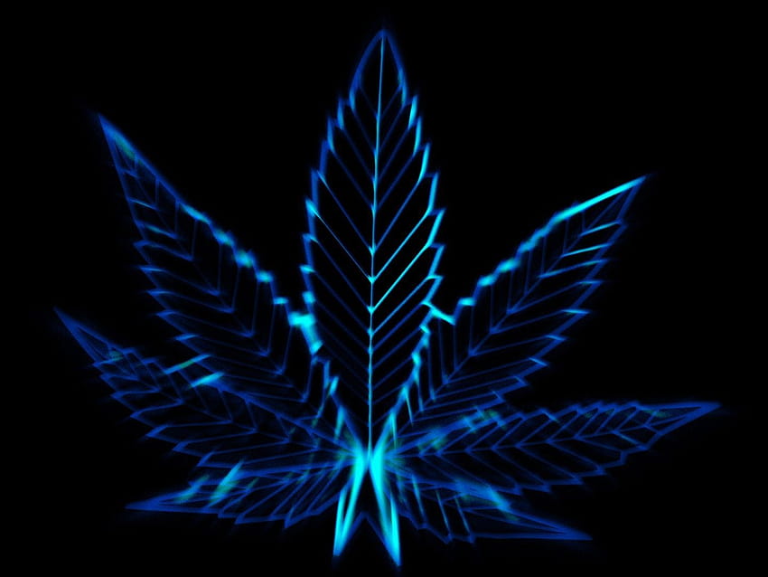 Abstract Weed Plant, weed aesthetic computer HD wallpaper | Pxfuel