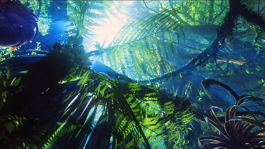 Avatar de la película Jungle D Avatar de ancha fondo de pantalla