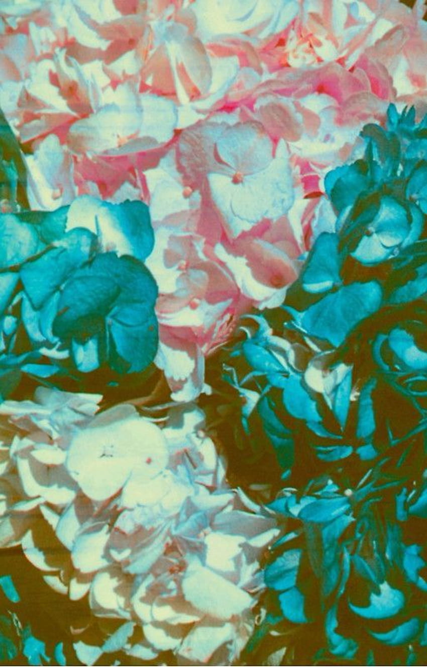 « Les hortensias de Neil Krug Lana Del Rey Ultraviolence » par emla Fond d'écran de téléphone HD