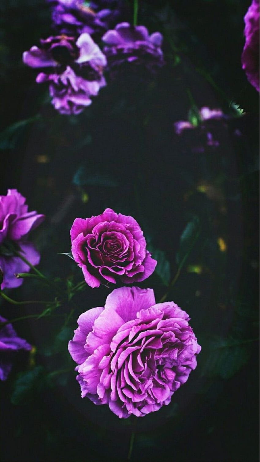 Flowerpower grunge aesthetic discovered by pripri⚡️, grunge aesthetic  purple HD phone wallpaper | Pxfuel