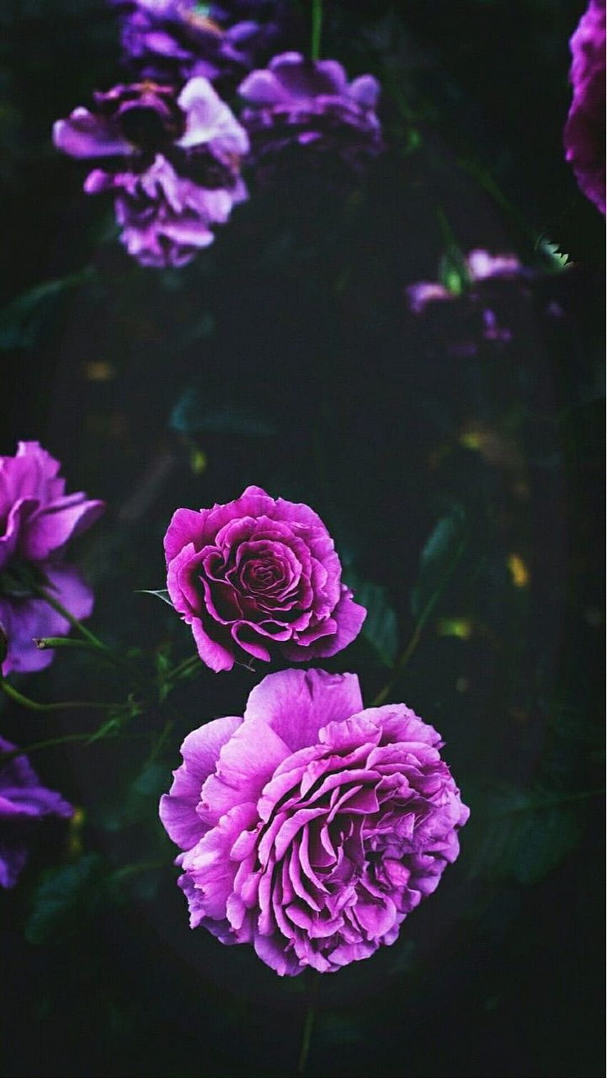 Flowerpower grunge aesthetic discovered by pripri⚡️, grunge aesthetic purple HD phone wallpaper