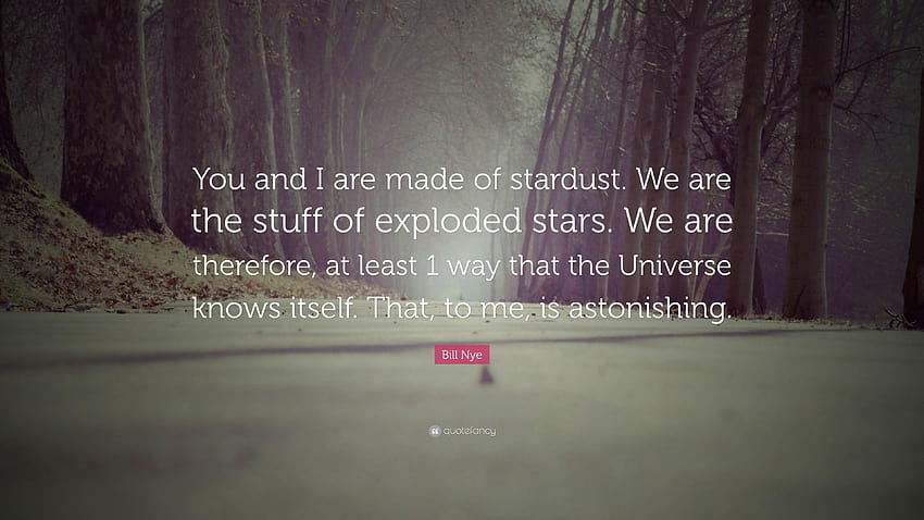 Bill Nye Zitat: „Du und ich bestehen aus Sternenstaub. Wir sind das Zeug von HD-Hintergrundbild