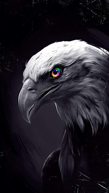 Eagle, anime, black, HD phone wallpaper | Peakpx