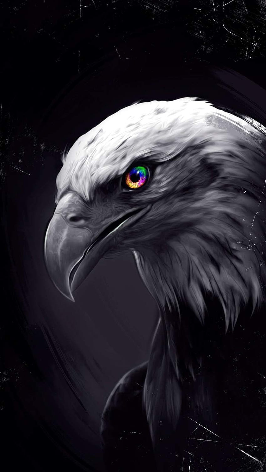 Eagle Eyes iPhone, black eagle HD phone wallpaper