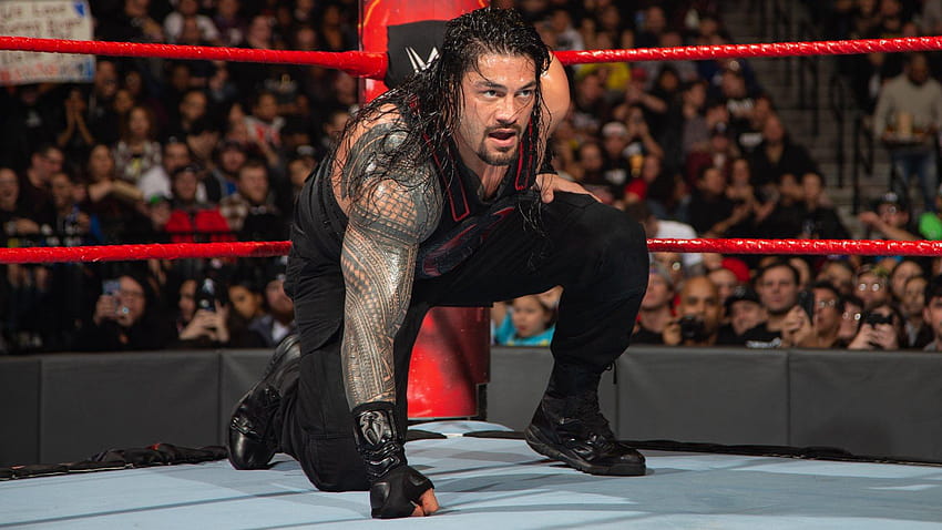 WWE Superstars는 Roman Reigns가 Raw, Roman Reigns 2019로 돌아온다는 소식에 반응합니다. HD 월페이퍼