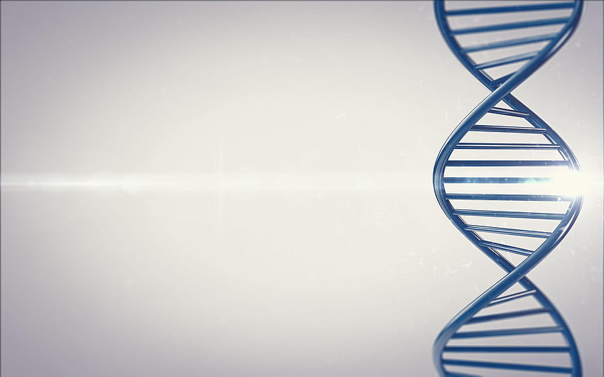 DNA-Hintergrund HD-Hintergrundbild