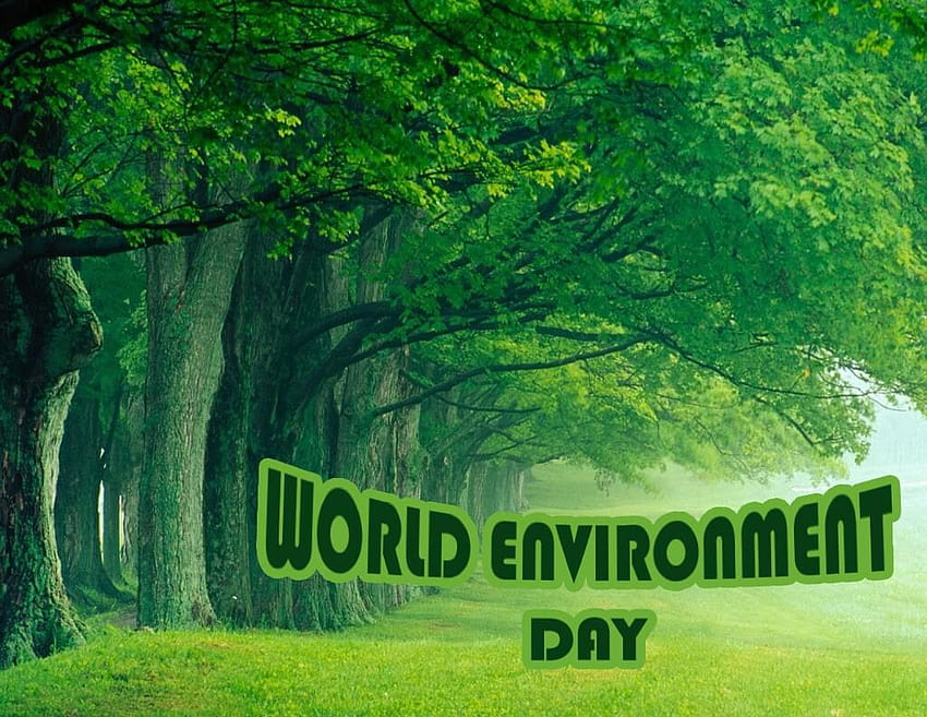 World environment day HD wallpapers | Pxfuel