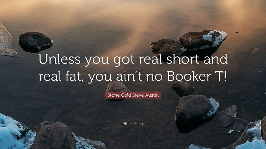 Stone Cold Steve Austin Quote: “Unless you got real short and real, stone cold and the rock HD wallpaper