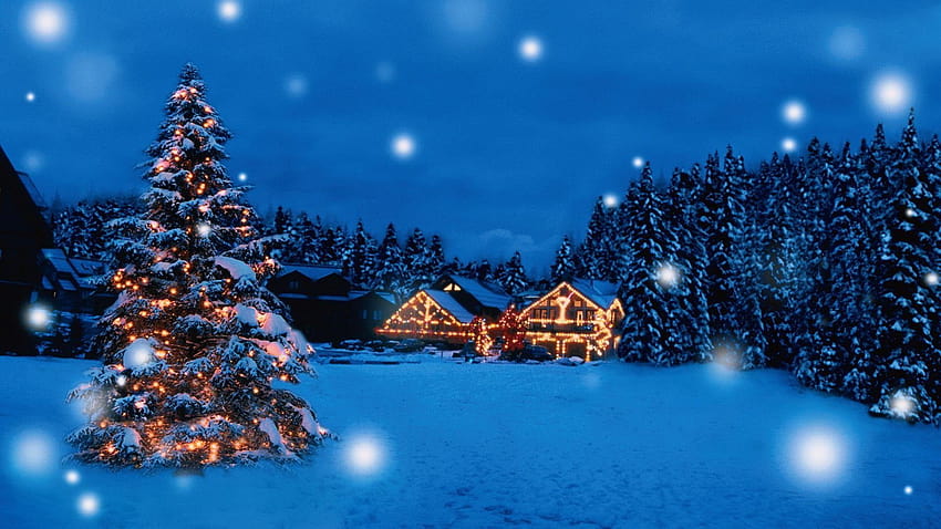 1920x1080 px Beautiful christmas gift holiday merry Santa snow tree winter Animals Bears A… in 2020, bears christmas HD wallpaper