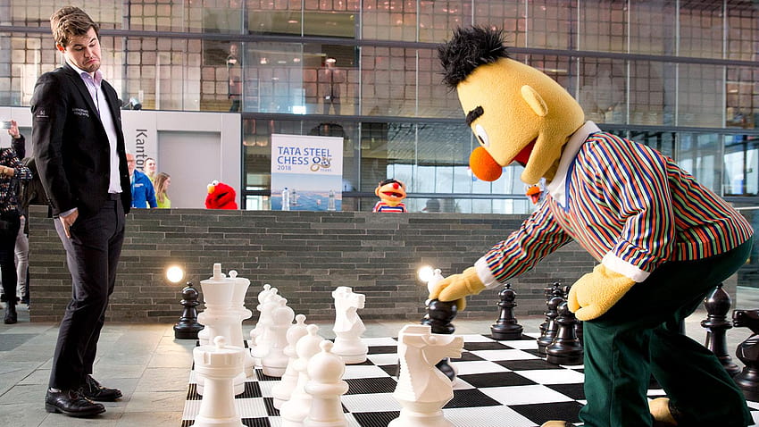 PsBattle: Dünya Satranç Şampiyonu Magnus Carlsen, Susam Sokağı'ndan Bert'i oynuyor : hopbattles HD duvar kağıdı