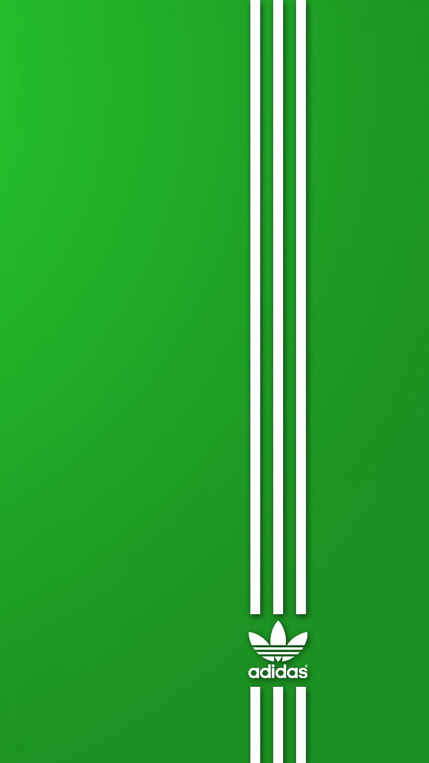 Green Adidas on Dog, green stuff HD phone wallpaper