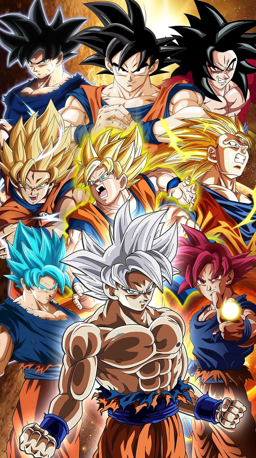 All Goku transformations. Fondo de pantalla, best anime tranformation HD phone wallpaper