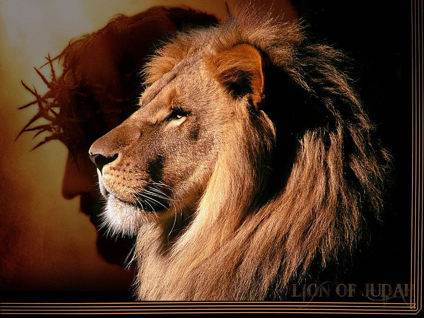 Lion of Judah, lion god HD wallpaper | Pxfuel
