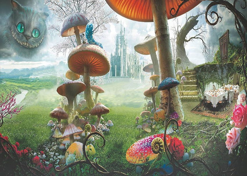 1920x1080px, 1080P Free download | alice in wonderland aesthetic HD ...