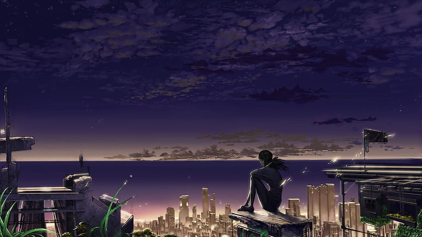 Anime City Night Scenery, anime school rooftop night HD wallpaper | Pxfuel