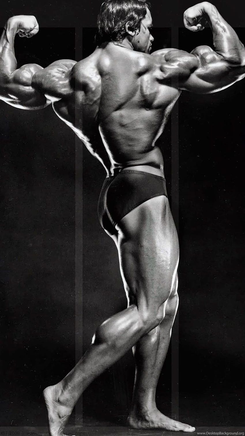 Arnold Schwarzenegger Bodybuilding . Backgrounds, arnold bodybuilder mobile android HD phone wallpaper