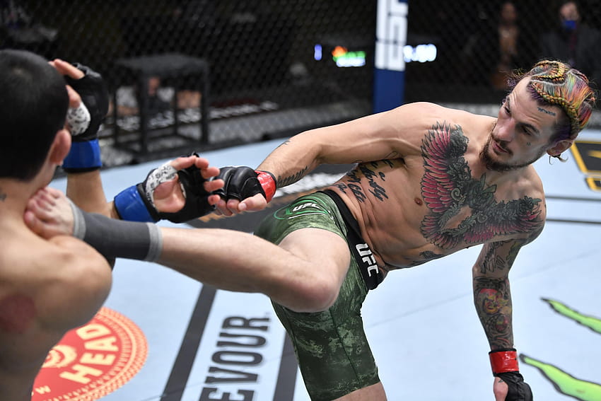 Résultats UFC 260: Sean O'Malley fait exploser Thomas Almeida avec une violente séquence KO, sean omalley Fond d'écran HD