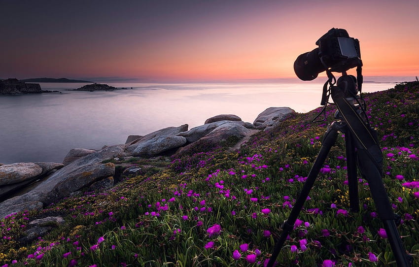 sea, the sky, sunset, flowers, stones, dawn, graphy, shore, the camera, pink, Spain, the camera, tripod , section пейзажи HD wallpaper