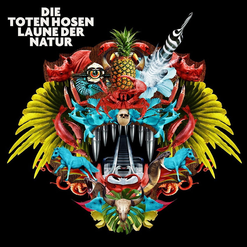 Die Toten Hosen – Laune der Natur with Learning English Lesson 2 HD phone wallpaper