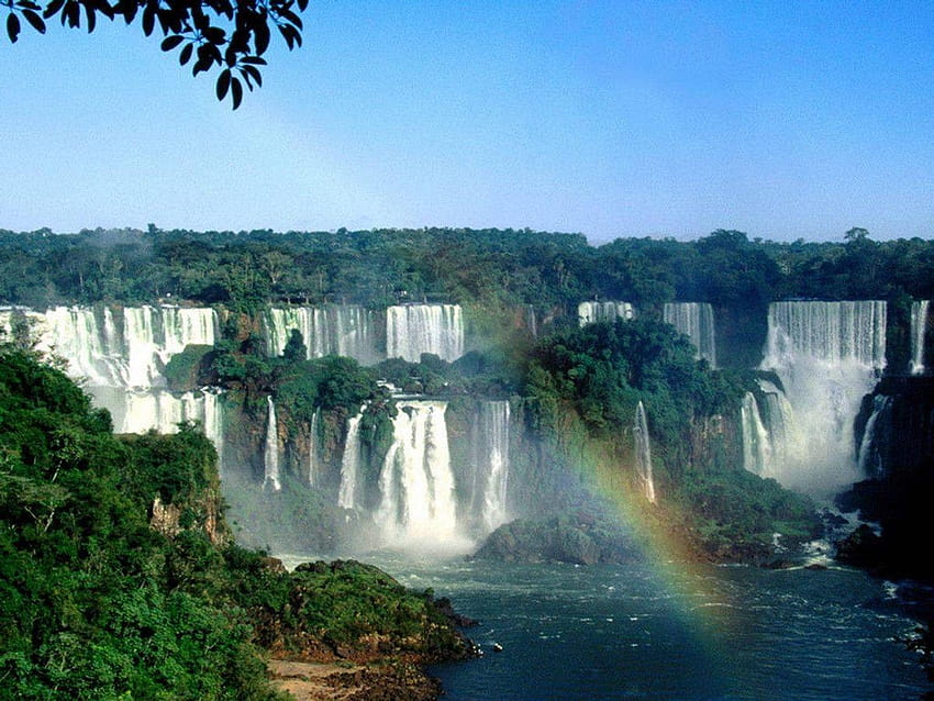 Amazon Rain Forest, amazon rainforest HD wallpaper