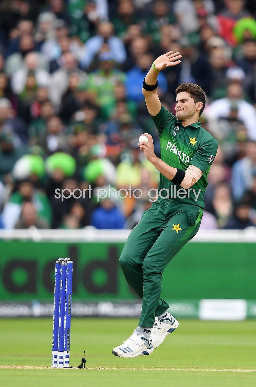 Shaheen Afridi Pakistan v Piala Dunia Selandia Baru 2019 wallpaper ponsel HD