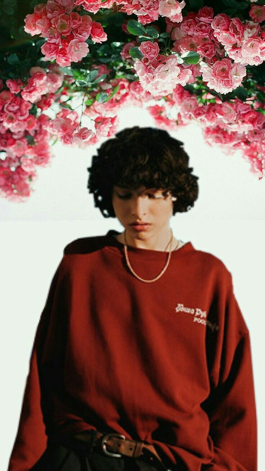 Finn Wolfhard 2019 Hd Phone Wallpaper Pxfuel